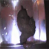 Roxanne stands and dances while taking a shit. She wastes no time because the turd starts coming out of her ass right away!